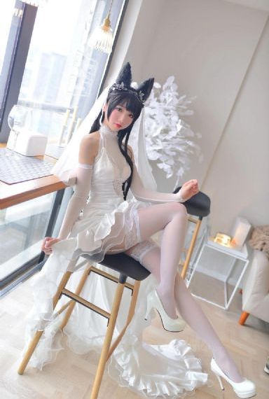 会长是女仆大人观看全集