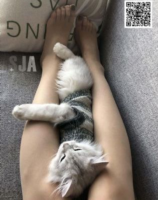 韩国免费在线