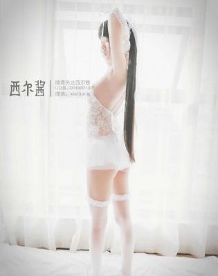 红楼春上春