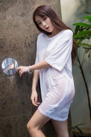 电视剧女士的品格