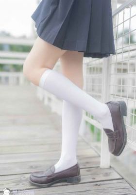 噼里啪啦国语高清免费观看在线
