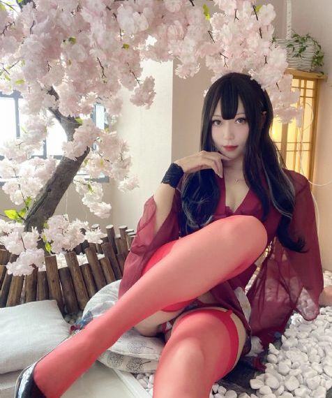 春花秋月电视剧免费完整版
